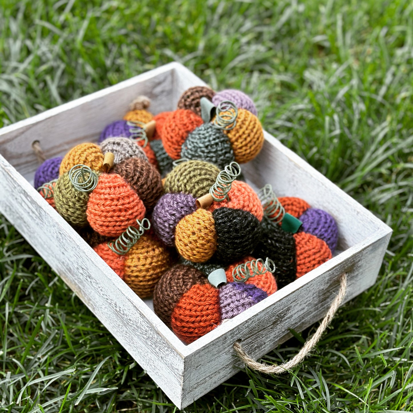 collection ofcolorful knit pumpkins with faux leather stem and green wire tendrils in a whitewashed wood box on the green grass lawn