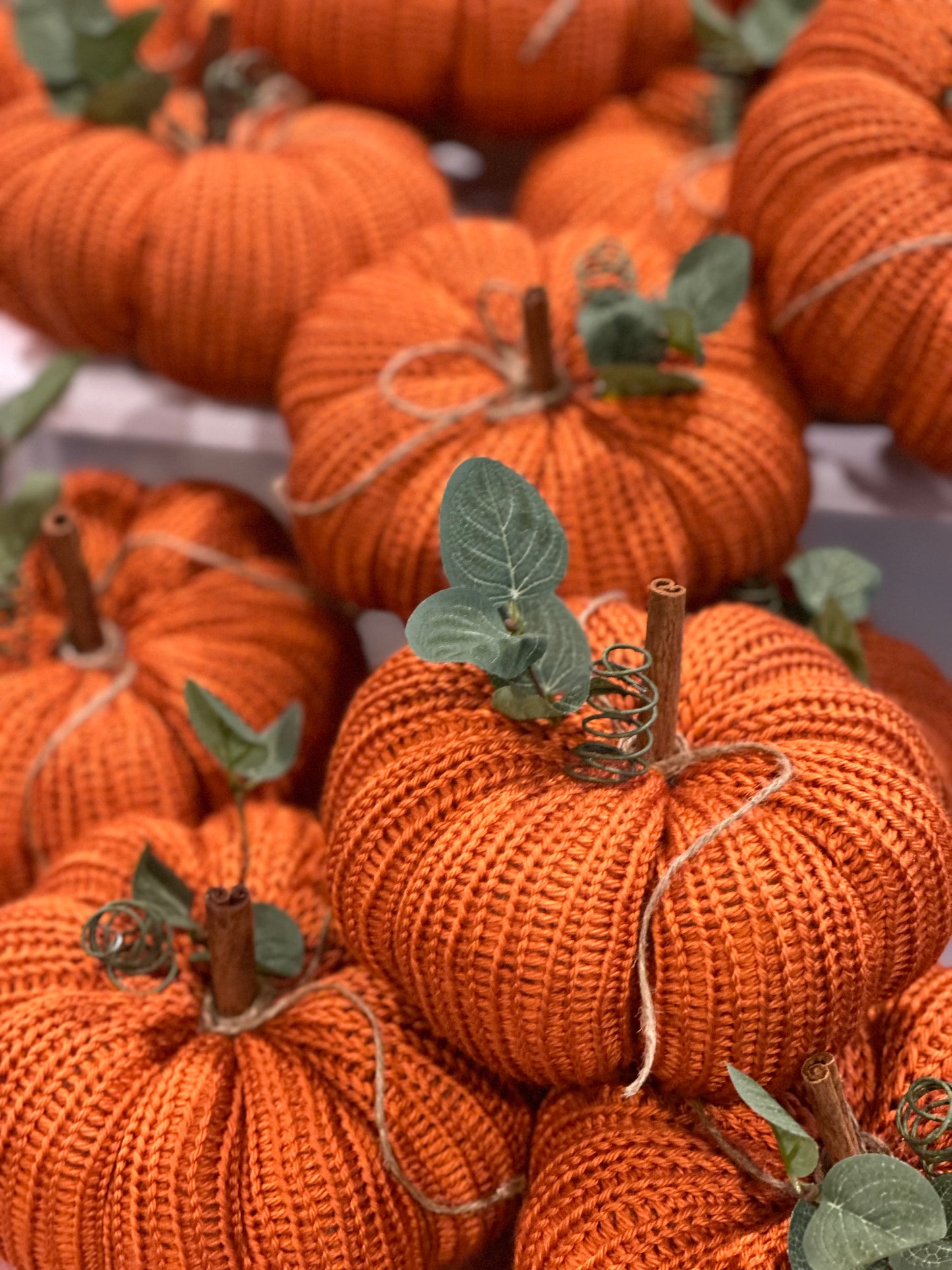 knit segmented pumpkin with greenery