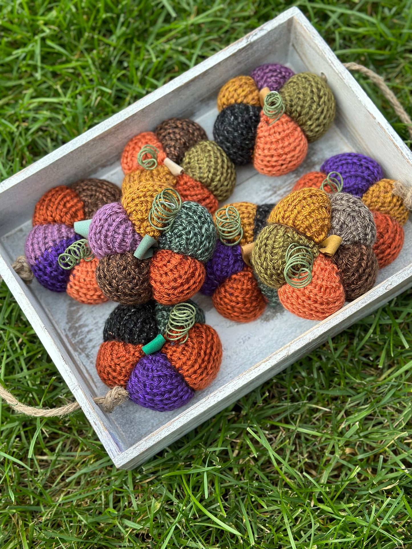 daisy shaped multi-colored pumpkin