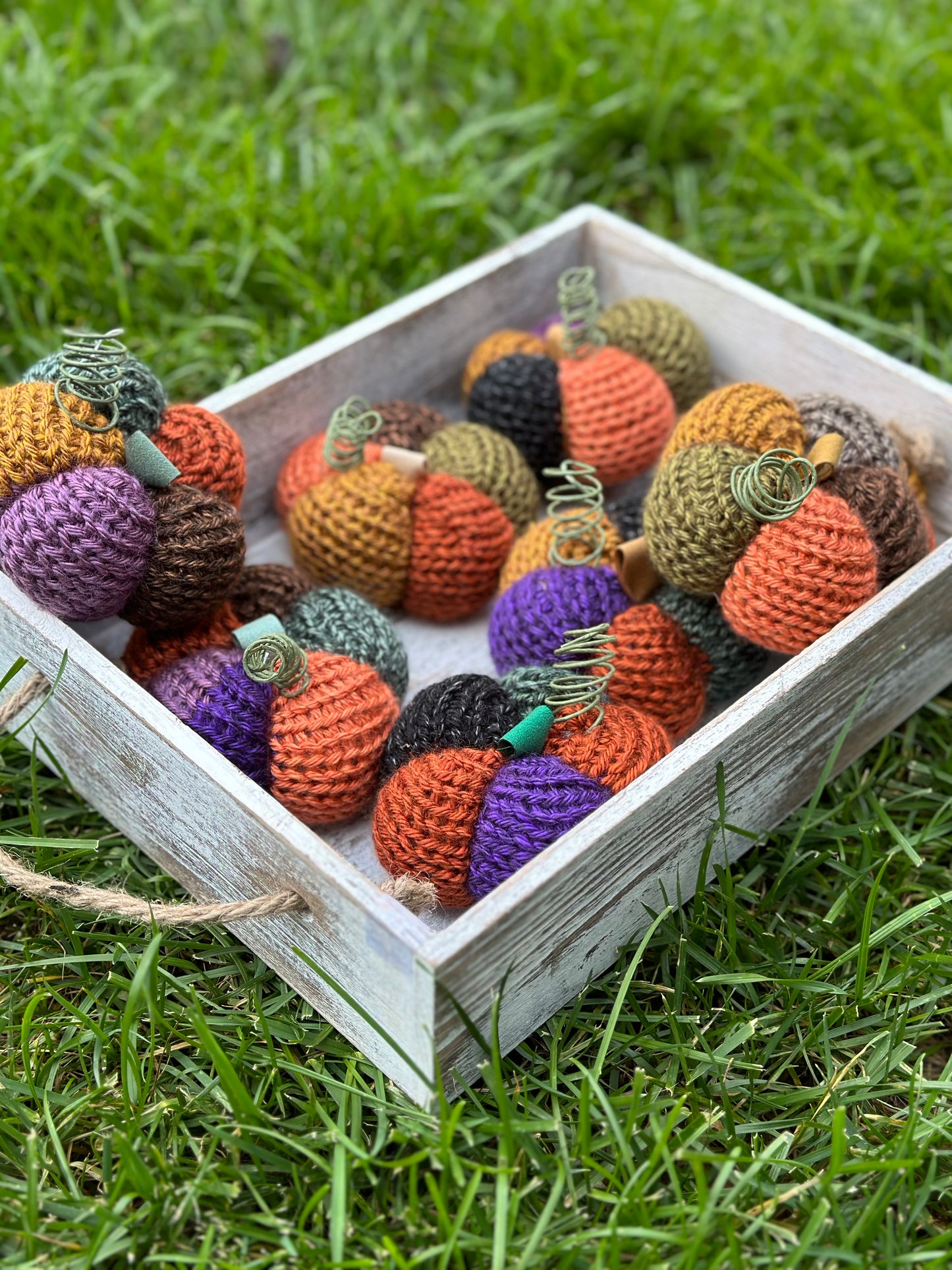 daisy shaped multi-colored pumpkin