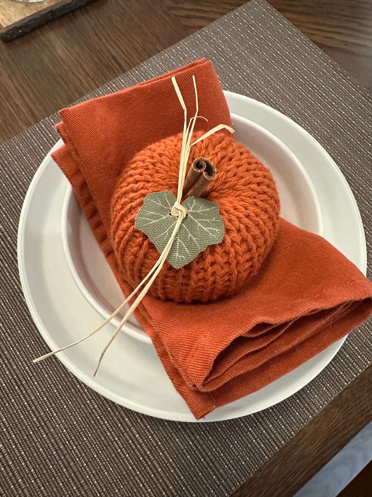 Small Knit Pumpkin with Cinnamon Stick Stem, Green Canvas Leaf & Raffia tie
