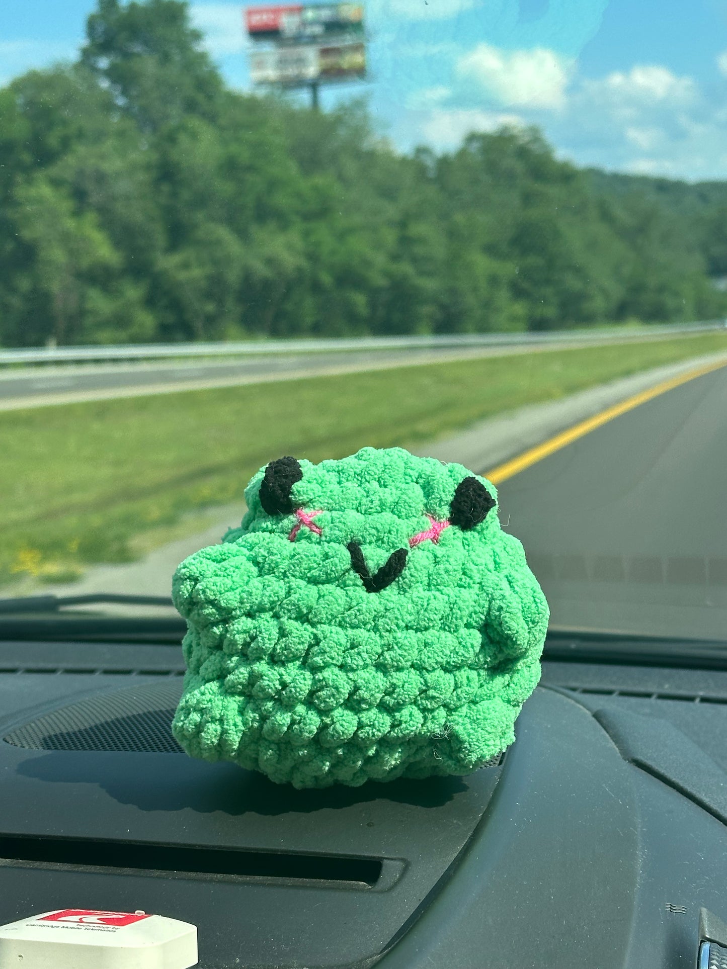 frog