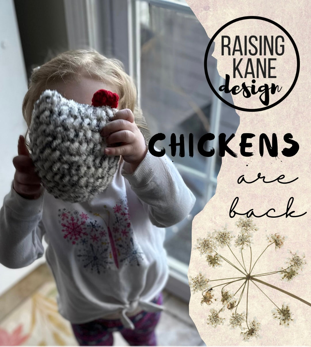child holding chicken stuffy with text stating chickens are back in stock.
